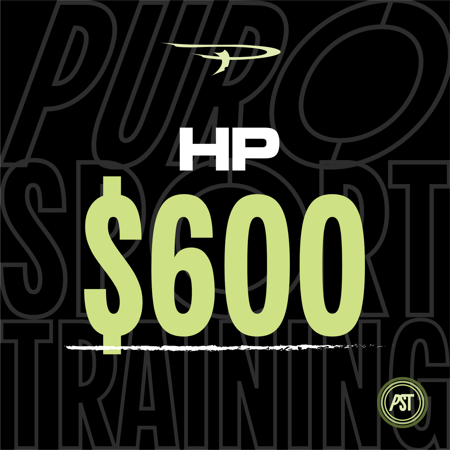 PURO SPORT TRAINING